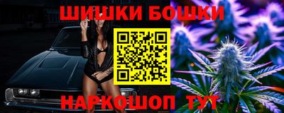СК Обь
