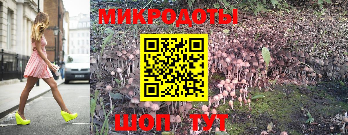 Псилоцибиновые грибы Psilocybe  Вход с VPN  Тамбов 