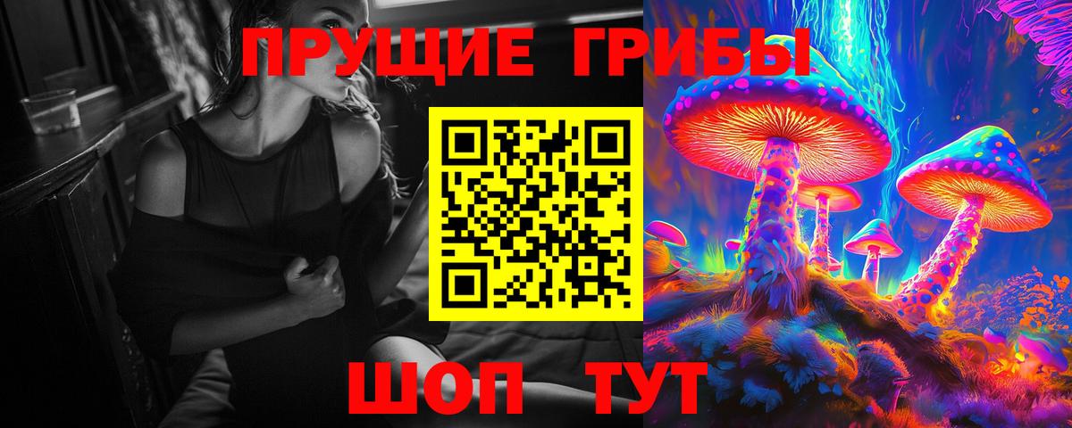 Псилоцибиновые грибы Psilocybe Тамбов